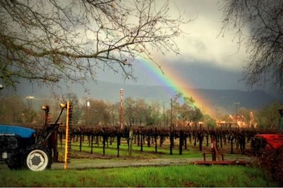 Rainbow Over Estate