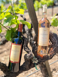 2022 Rose & 2018 Merlot 6 Pack Combo Posse