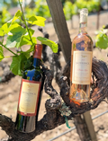 2022 Rose & 2018 Merlot 6 Pack Combo Posse